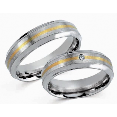 Ringe Titan / 585er Goldstreifen