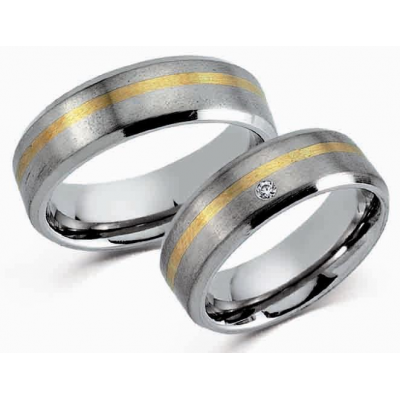 Ringe Titan / 585er Goldstreifen